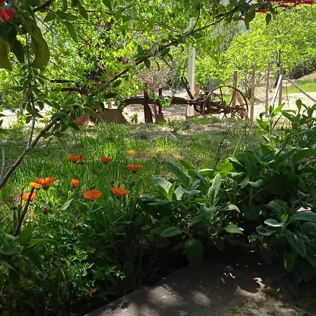 B&B La Pennica
