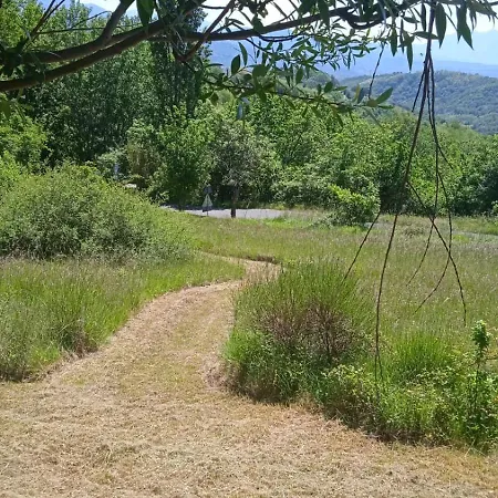 La Pennica B&B